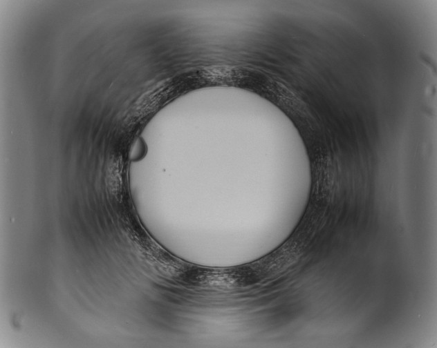 X0000100850702200807111216