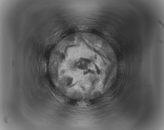 X0000100850703200807111216