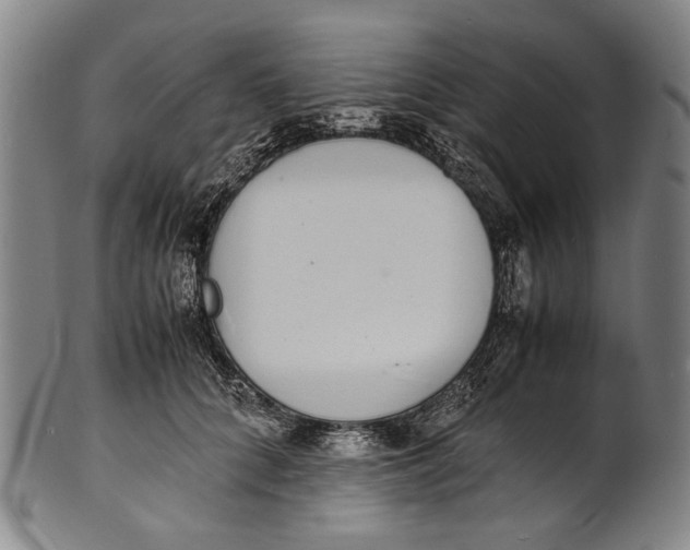 X0000100850704200807111216