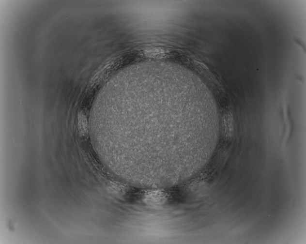 X0000100850705200807111216