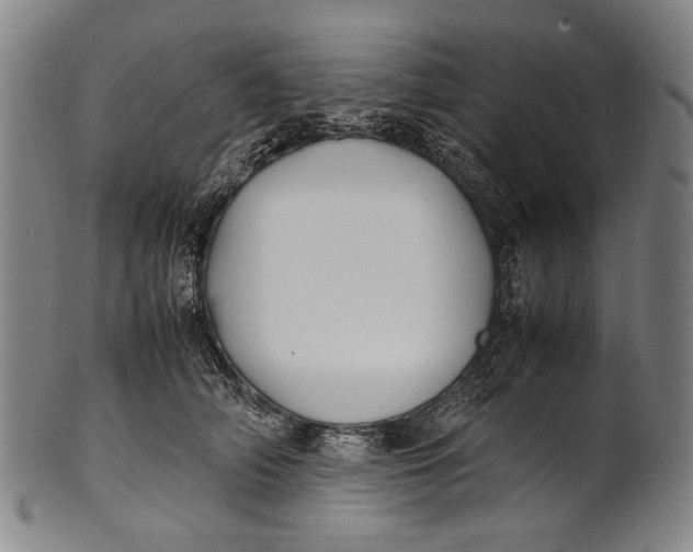 X0000100850706200807111216