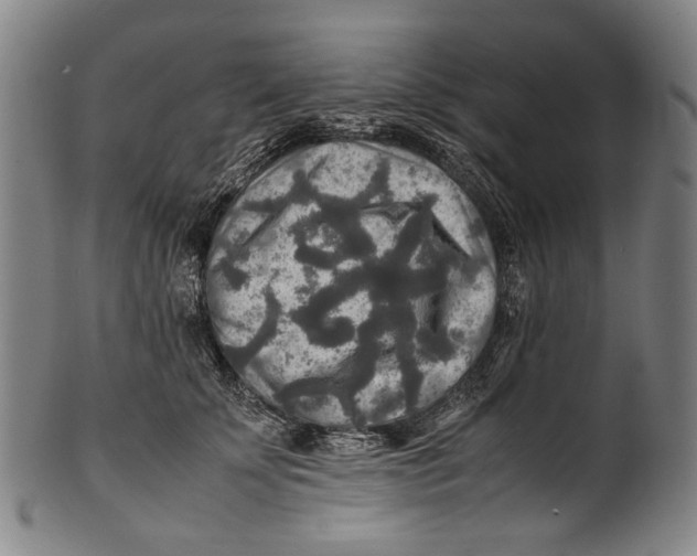 X0000100850707200807111216