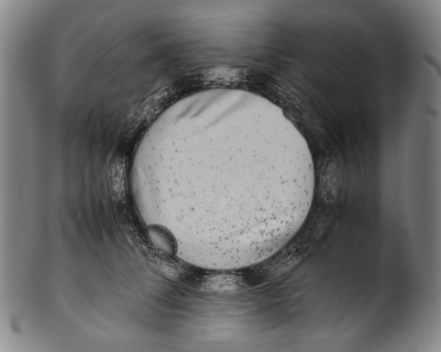 X0000100850708200807111216