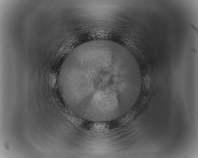 X0000100850709200807111216