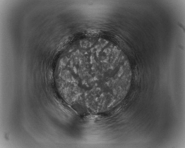 X0000100850711200807111216