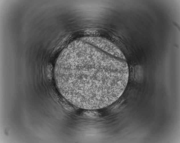 X0000100850712200807111216