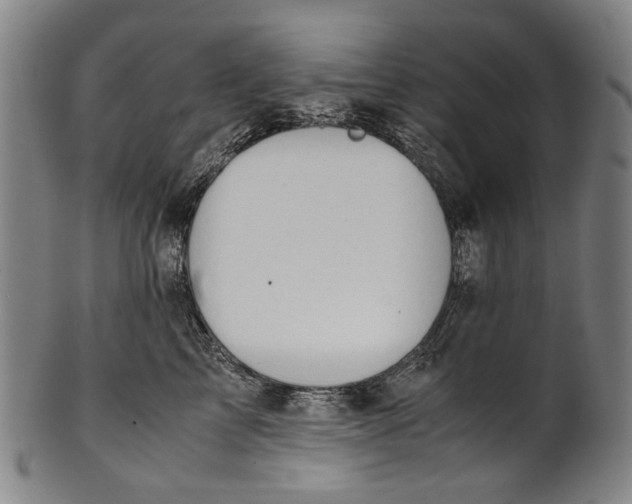 X0000100850713200807111216