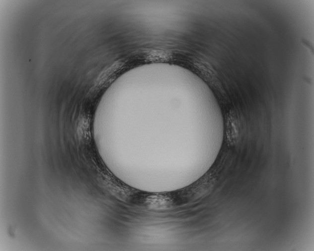 X0000100850714200807111216