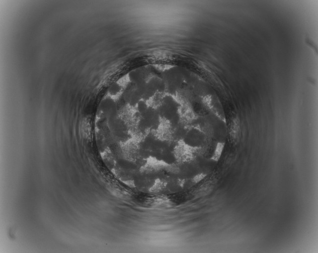 X0000100850715200807111216