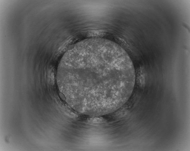 X0000100850716200807111216