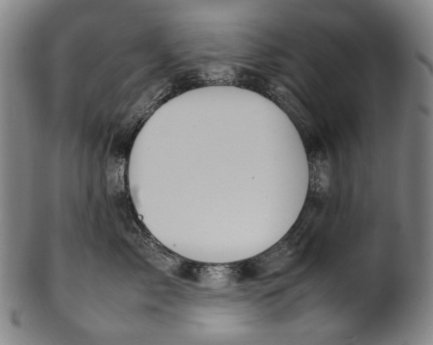 X0000100850717200807111216