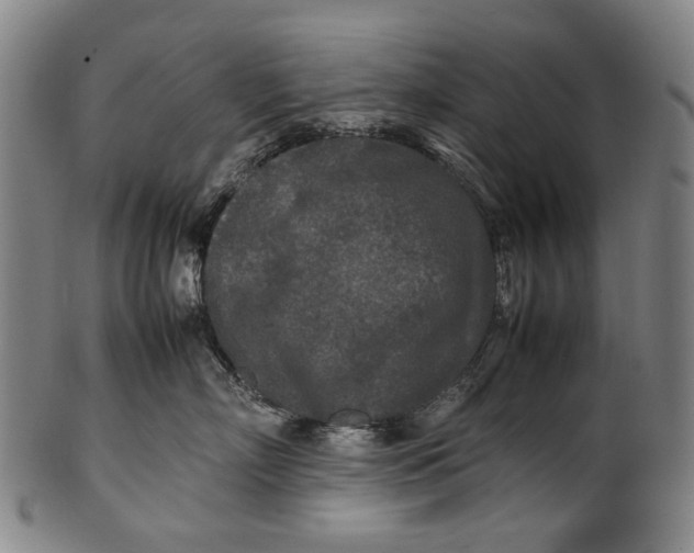 X0000100850718200807111216