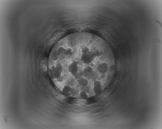 X0000100850719200807111216