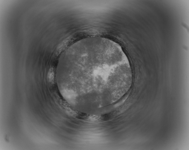 X0000100850720200807111216