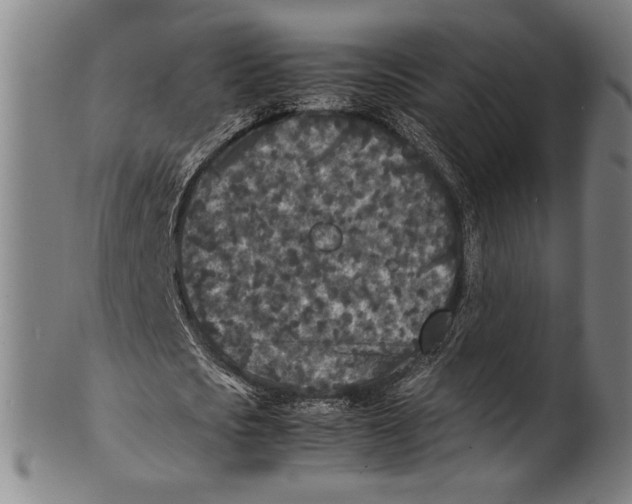 X0000100850721200807111215