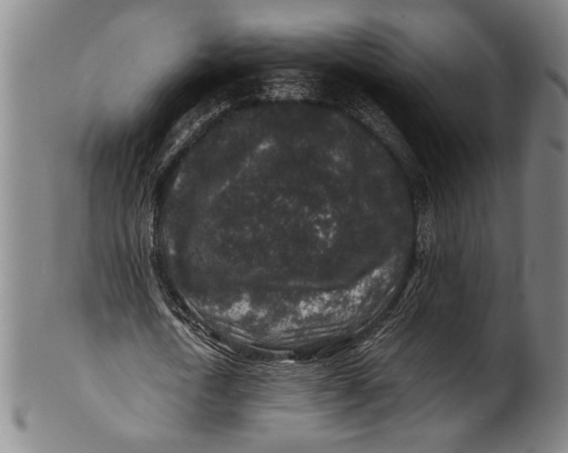 X0000100850722200807111215