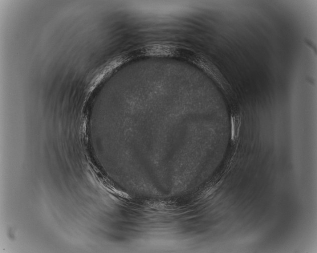 X0000100850723200807111215