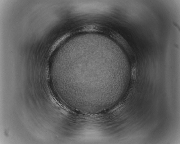 X0000100850724200807111215