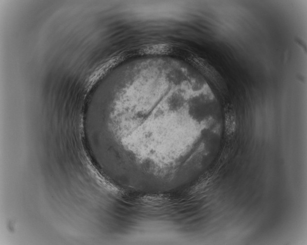 X0000100850725200807111215