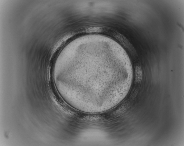 X0000100850726200807111215