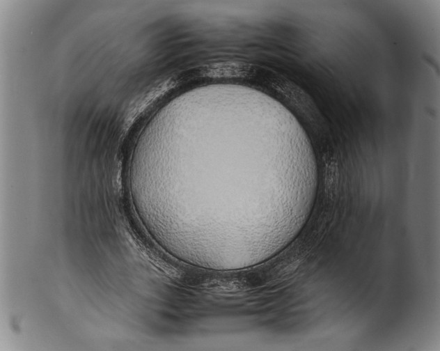 X0000100850727200807111215