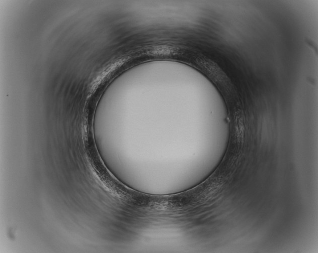 X0000100850728200807111215