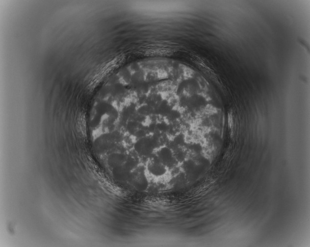 X0000100850729200807111215