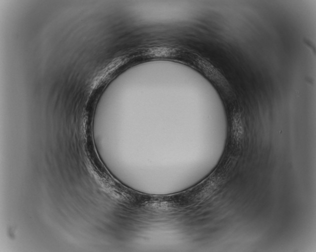 X0000100850730200807111215