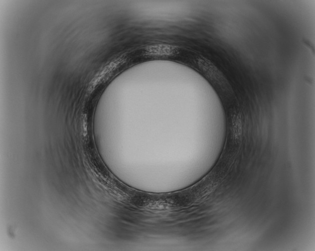 X0000100850731200807111215