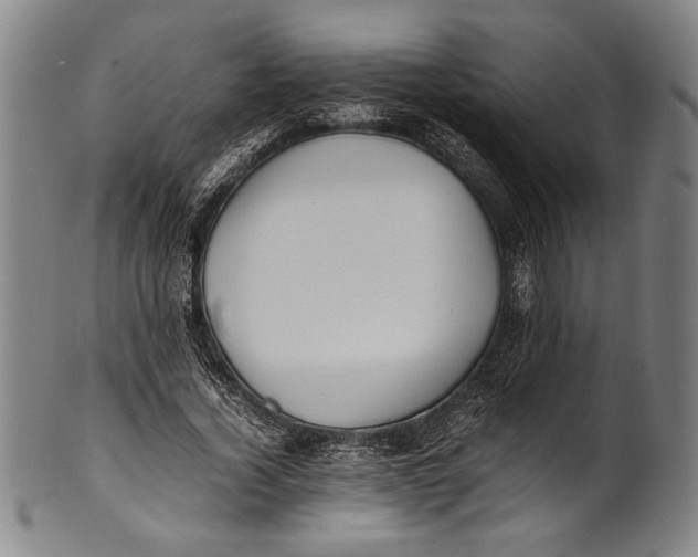 X0000100850732200807111215