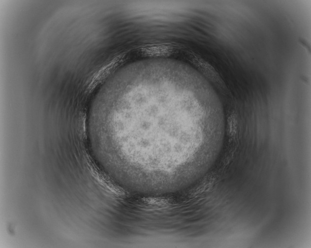 X0000100850733200807111215