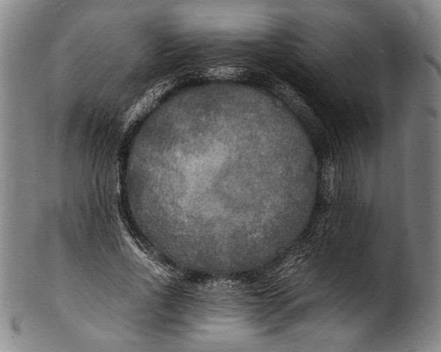 X0000100850734200807111215