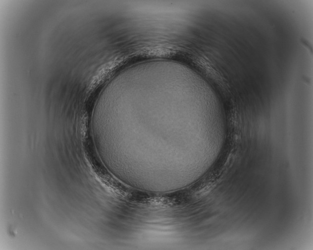 X0000100850736200807111215