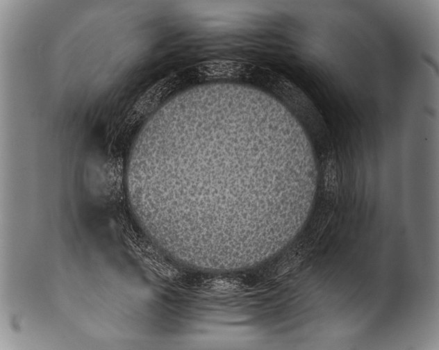 X0000100850737200807111215