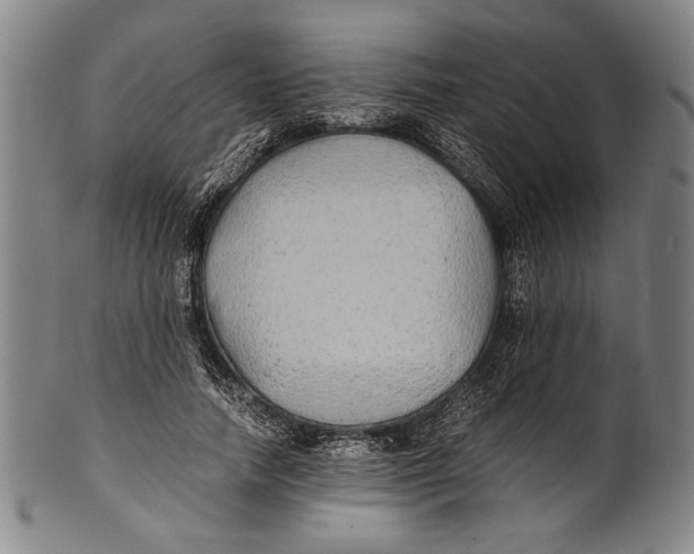 X0000100850738200807111215