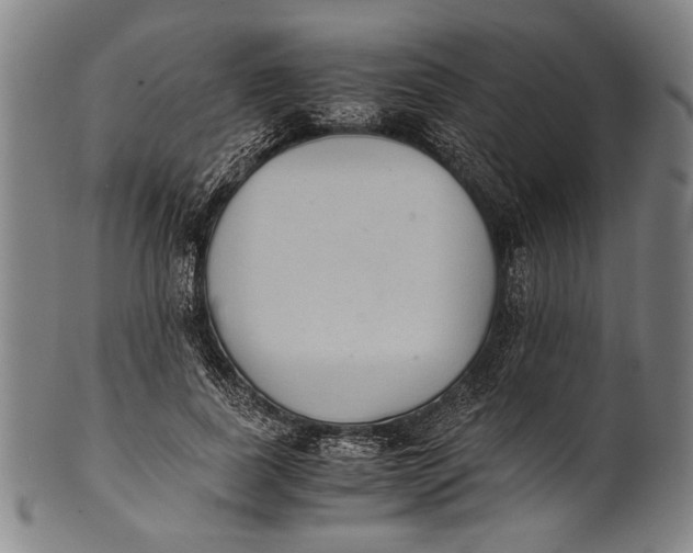 X0000100850739200807111215