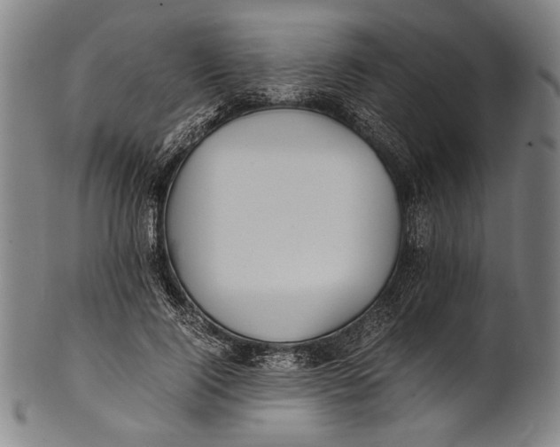 X0000100850740200807111216