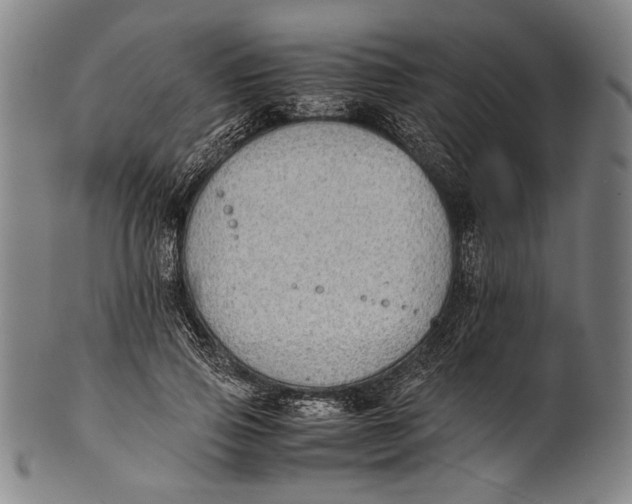 X0000100850741200807111216