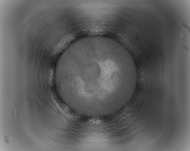 X0000100850742200807111216