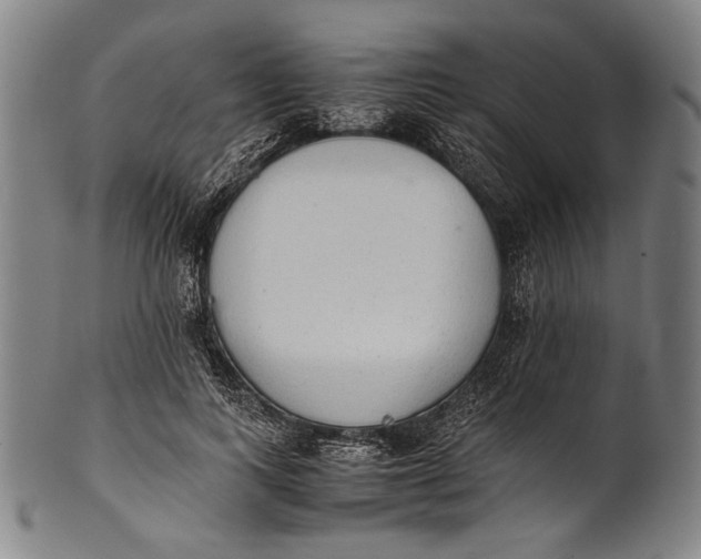 X0000100850743200807111216