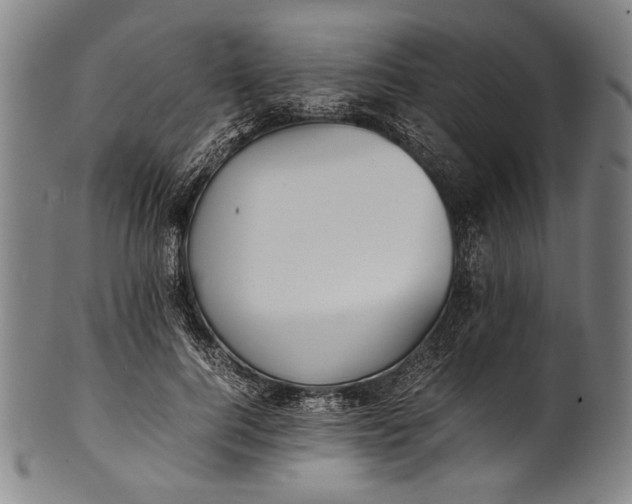 X0000100850744200807111216