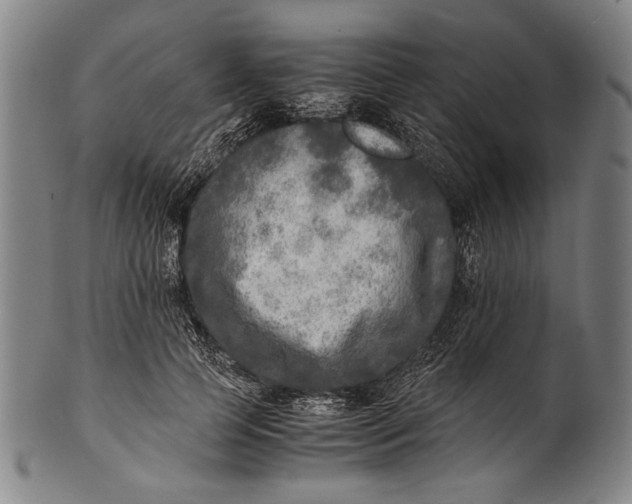 X0000100850745200807111216