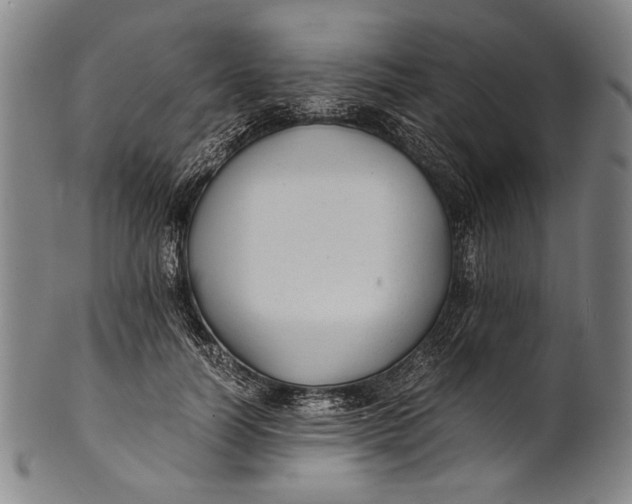 X0000100850746200807111216