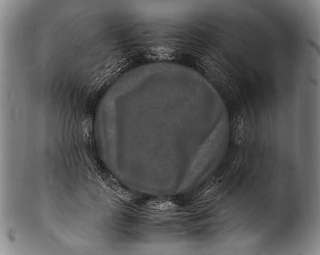 X0000100850747200807111216