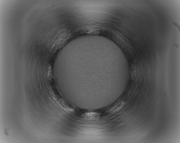 X0000100850748200807111216