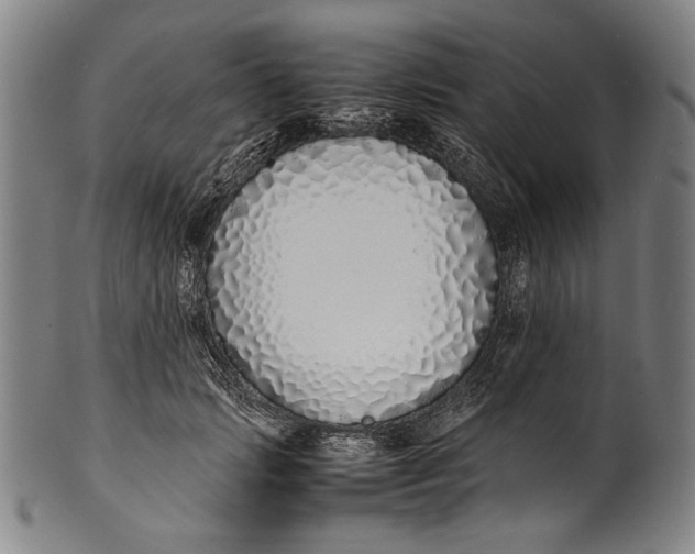 X0000100850749200807111216