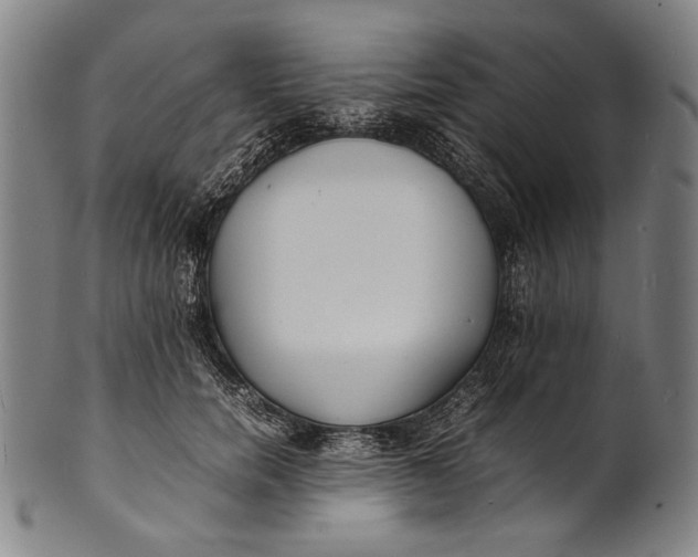 X0000100850750200807111216