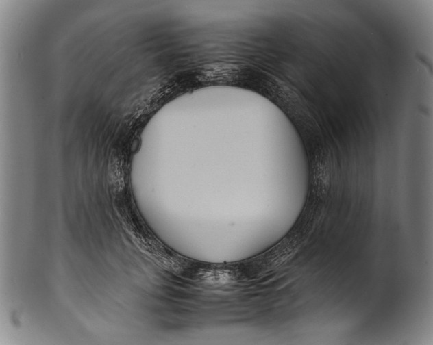 X0000100850751200807111216