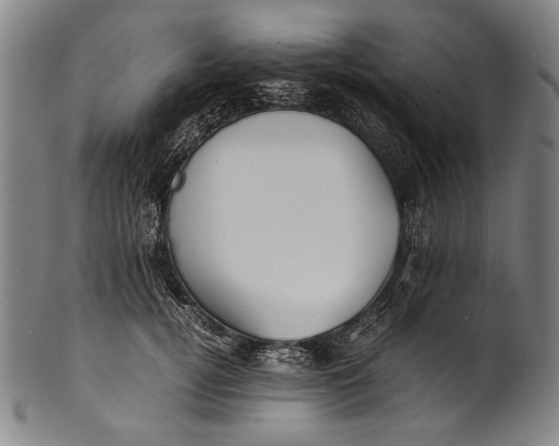 X0000100850752200807111216