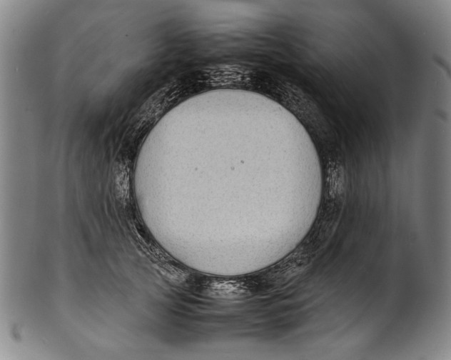 X0000100850753200807111216